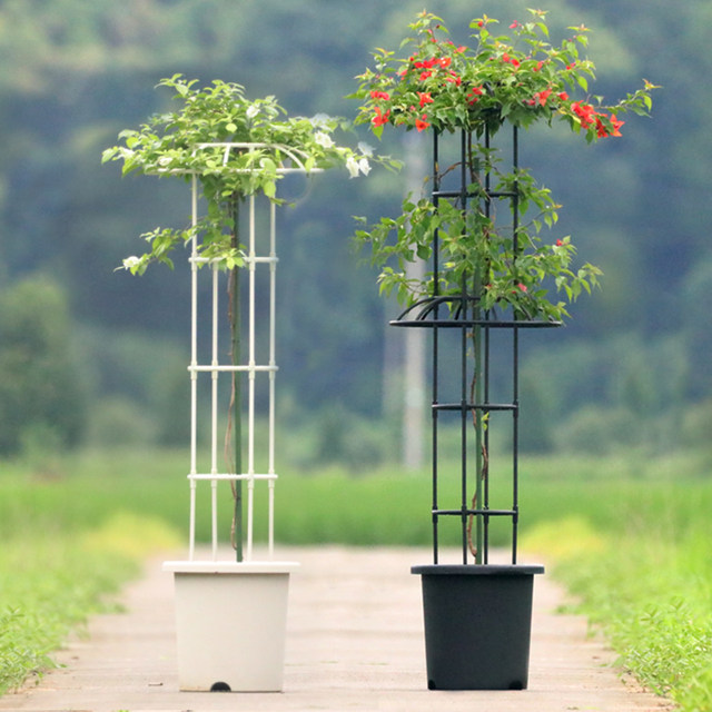 Medium-sized gardening flower stand single double circle umbrella-shaped multi-ring climbing pergola clematis climbing frame plant rose flower stand