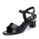 2023 New Sandals for Women Summer Versatile Summer Medium Heel Roman High Heels One-Buckle Thick Heels Korean Style Fish Mouth Sandals