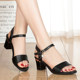 2023 New Sandals for Women Summer Versatile Summer Medium Heel Roman High Heels One-Buckle Thick Heels Korean Style Fish Mouth Sandals