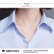 Women's long-sleeved business shirt with white background and blue stripes, slim fit, no-iron business wear, V-neck slimming, large size work shirt