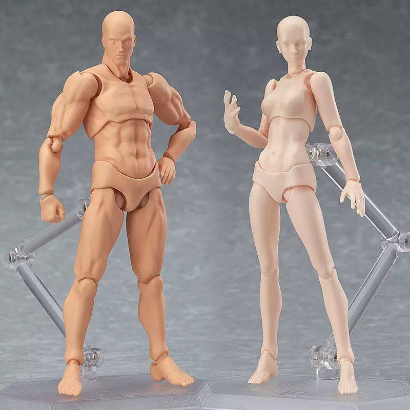 Figma素体人体模型素体人偶关节人可动人体模型玩具