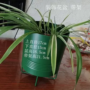 宜家花盆 新人首单立减十元 22年9月 淘宝海外