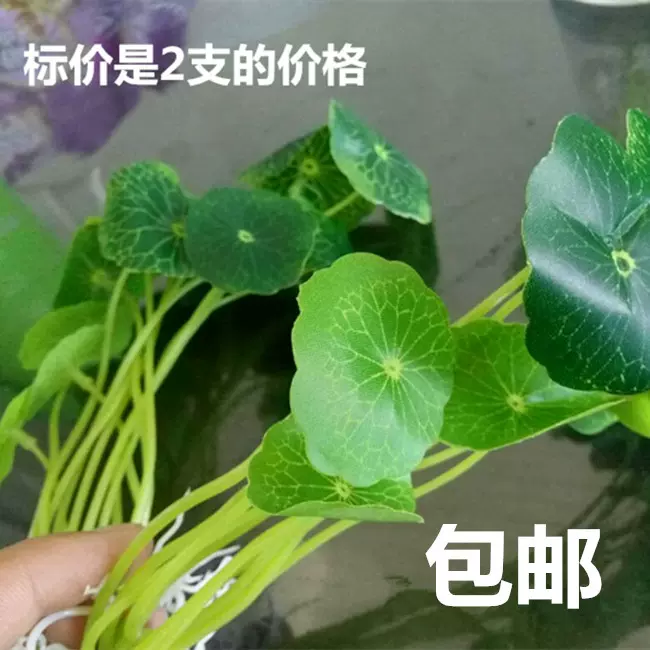 包邮仿真水草人造花室内装饰鱼缸插草12杈铜钱叶12头迷你小荷叶