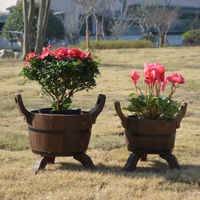 植木制 新人首单立减十元 21年11月 淘宝海外