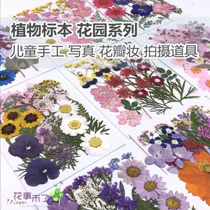 假花脸妆 新人首单立减十元 22年4月 淘宝海外