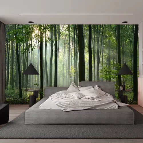 房间墙纸风景大自然 新人首单立减十元 22年2月 淘宝海外