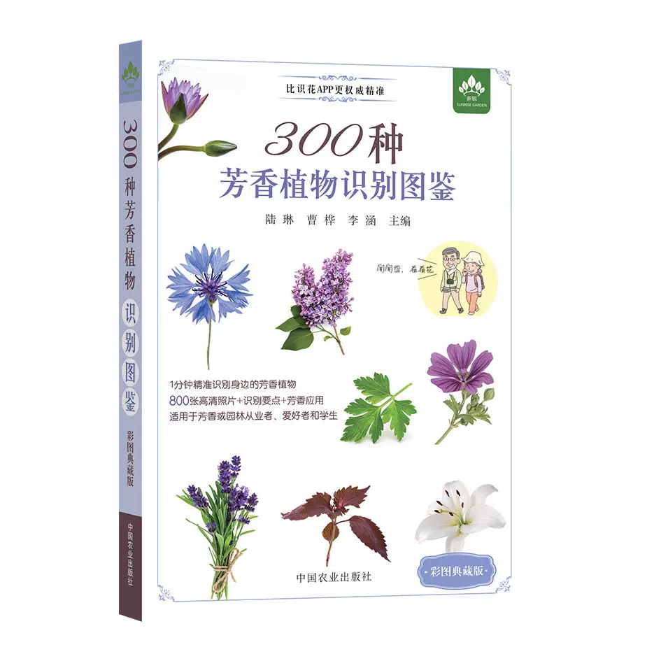 天门冬植物 新人首单立减十元 21年12月 淘宝海外