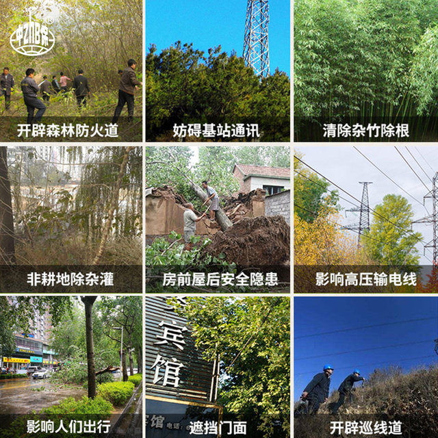 Cyclazinone herbicide, Cyclazinone root rot agent, Cyclazinone cuprazine, non-cultivated land herbicide, weed removal and irrigation, genuine Cyclazinone granules