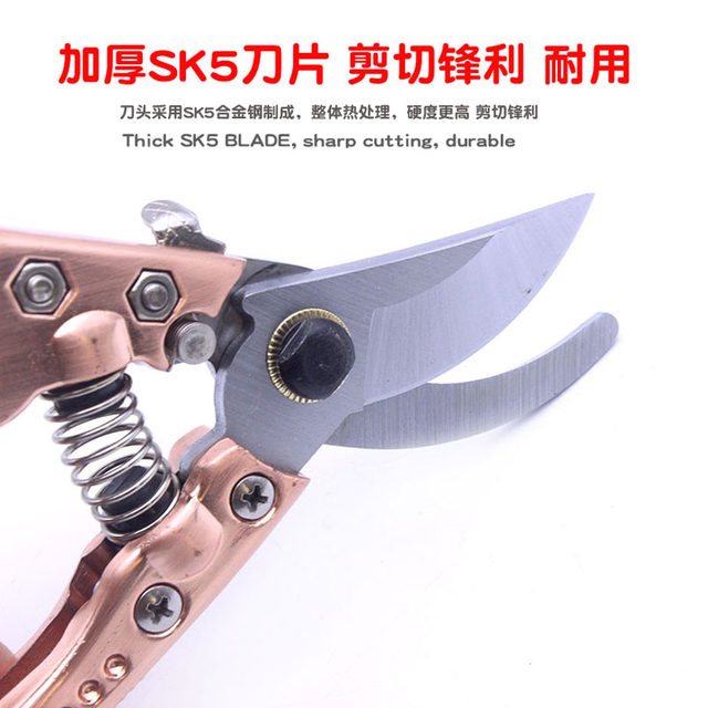 Garden scissors and branches cut gardening tree shear branches and branches of spring tea tree scissors and branches for special flowers large scissors