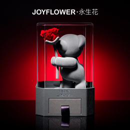 Joyflower Little Bear Silly Rose Everlasting Flower New Year Birthday Gift Box Valentine's Day Gifts Girlfriend