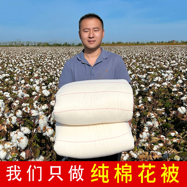 Xinjiang long-staple cotton quilt pure cotton quilt pure cotton quilt core cotton wadding mattress bedding thickened warm student winter quilt