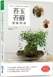 苔玉植物 新人首单立减十元 22年2月 淘宝海外