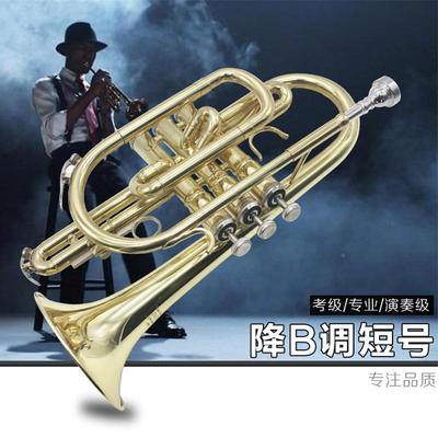 taobao agent BB Turning B Short Number of Copper Tube Musical Professional Performance Class Short Western Pipe Instruments Customization