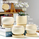 Ceramic succulent flower pot household green ivy exquisite white light luxury creative cream style succulent special pot large size
