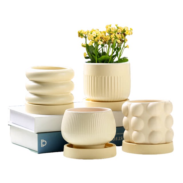 Ceramic succulent flower pot household green ivy exquisite white light luxury creative cream style succulent special pot large size
