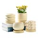 Ceramic succulent flower pot household green ivy exquisite white light luxury creative cream style succulent special pot large size