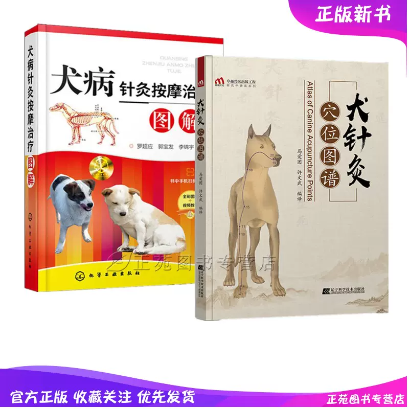 穴位图狗 新人首单立减十元 21年12月 淘宝海外