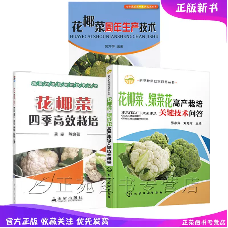 菜花种子蔬菜 新人首单立减十元 21年11月 淘宝海外