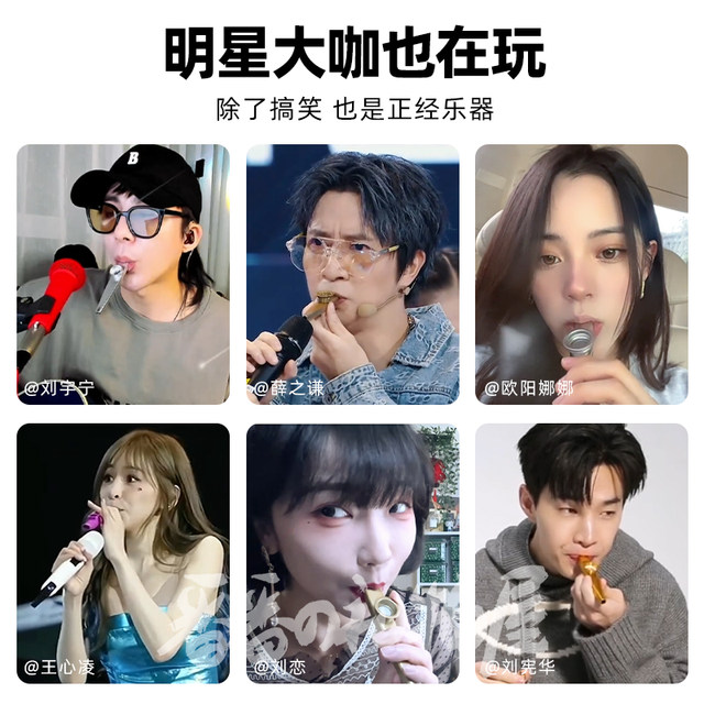 Kazoo flute genuine professional performance grade mouth flute alloy automatic transmission children's new niche wind instruments collection