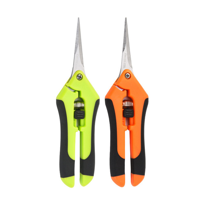 Orchard fruit tree thinning fruit picking fruit picking labor-saving scissors gardening thin fruit shears straight head warped head flower shears pruning shears special