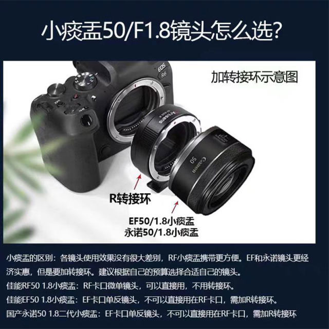 Canon/Canon R50 entry-level camera half-frame 4K high-definition digital travel vlog live broadcast mirrorless R50