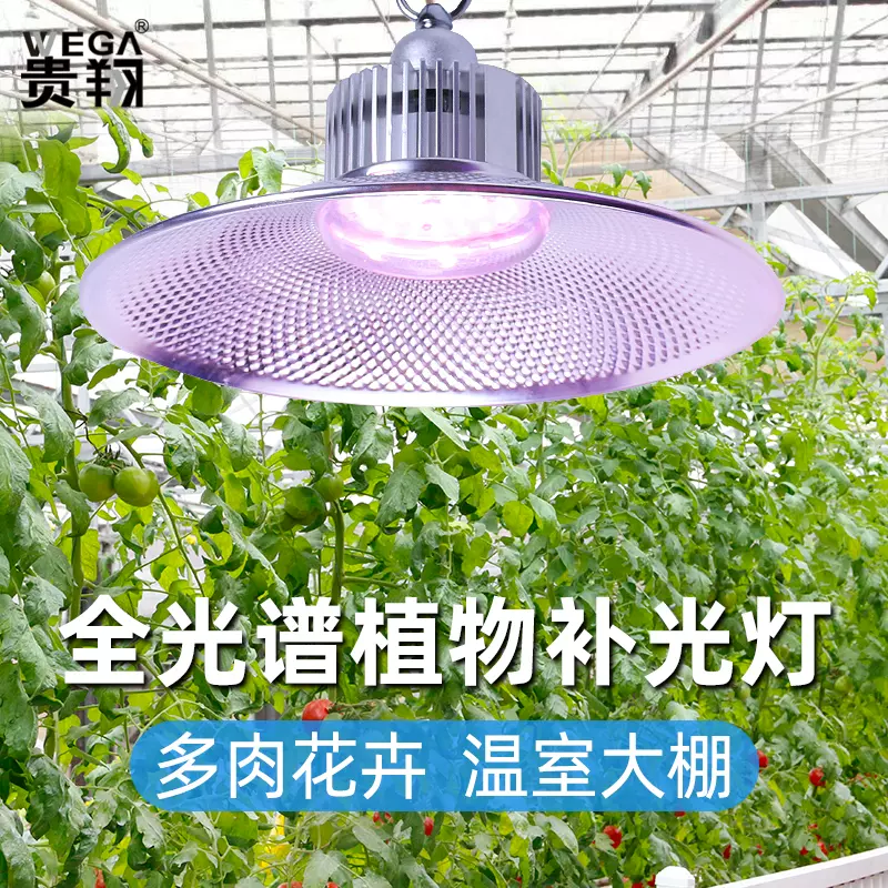 蔬菜温室led 新人首单立减十元 21年10月 淘宝海外