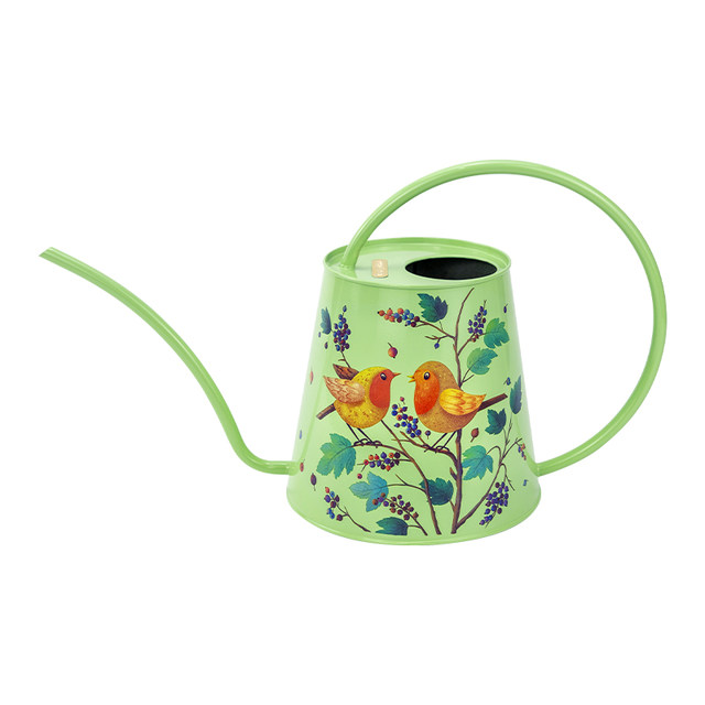 Berry/Bird long mouth flower watering kettle household flower potted succulent watering kettle high-looking gardening ornaments 2L