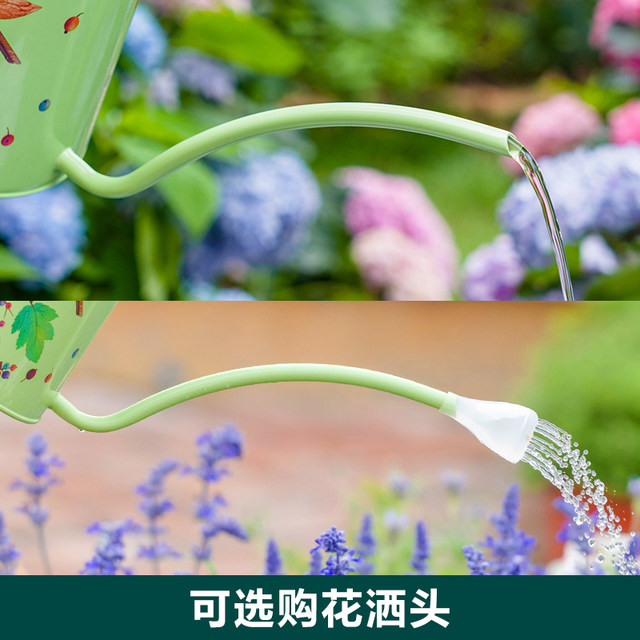 Berry/Bird long mouth flower watering kettle household flower potted succulent watering kettle high-looking gardening ornaments 2L