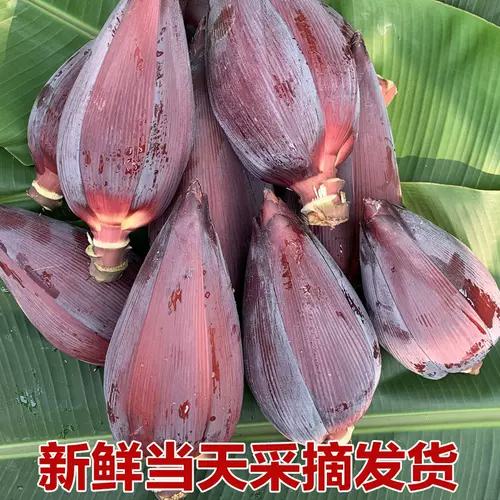 芭蕉花新鲜 新人首单立减十元 22年2月 淘宝海外