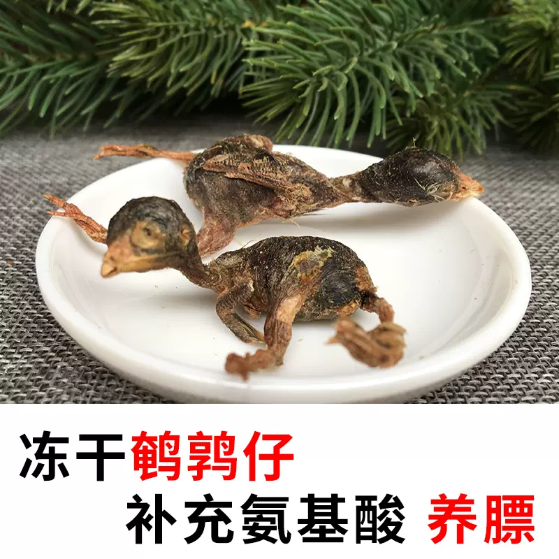 松鼠飞鼠蜜袋鼯花枝鼠仓鼠金丝熊吃的零食冻干