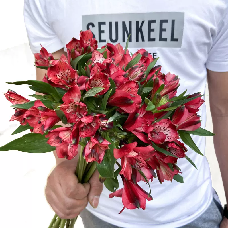 水仙花百合花 新人首单立减十元 21年12月 淘宝海外