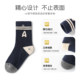 Banbi children's socks boys socks spring and autumn cotton socks boys boys autumn and winter young children without bone in stockings