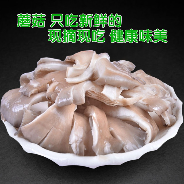 Home Mushroom Mushroom Pack Mushroom Planting Pack Oxygen Rod Shiitake Mushroom Mushroom Edible Mushroom