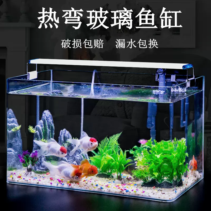 小型虾水草缸 新人首单立减十元 21年11月 淘宝海外