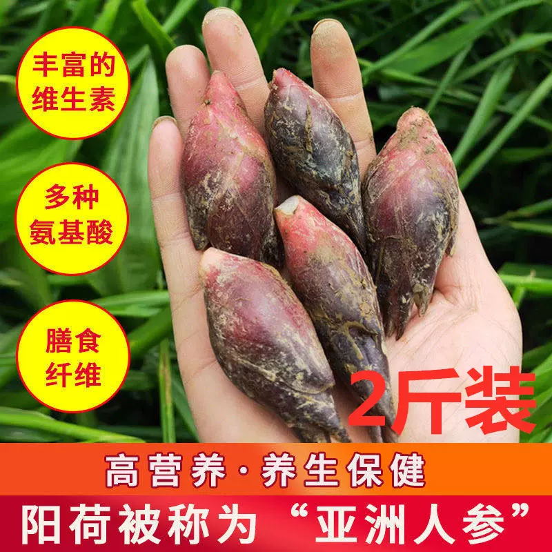 洋荷苗 新人首单立减十元 21年10月 淘宝海外