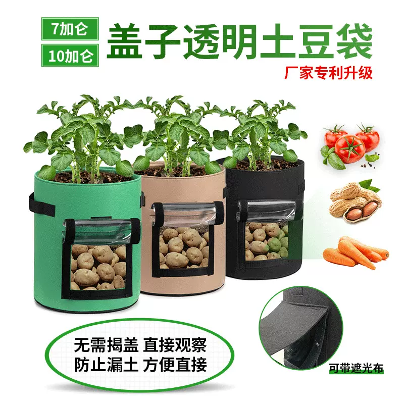 植物生长袋土豆 新人首单立减十元 21年10月 淘宝海外