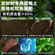 Special soil for planting and raising wealth trees Nutrition soil Flower soil Pot planting soil Money tree fertilizer Special fertilizer soil humus soil
