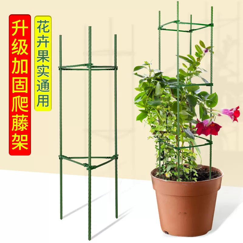 花架爬藤架子葡萄架支架杆蔬菜植物月季葡萄黄瓜西红柿种植架