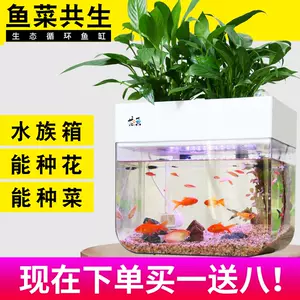 鱼水培蔬菜设备 新人首单立减十元 22年9月 淘宝海外