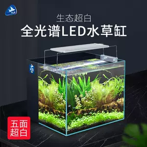 背滤水草21年10月30日 月销口碑最新推荐 天猫淘宝海外