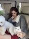Doll collar pullover sweater for women, autumn and winter loose outer wear, Japanese style 2023 autumn wear, new lazy style knitted top