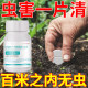 Gardening insect repellent tablets, saccharified boron fertilizer tablets, green plant and flower insect repellent granules, gardening insect repellent tablets to repel mosquitoes and fly aphids