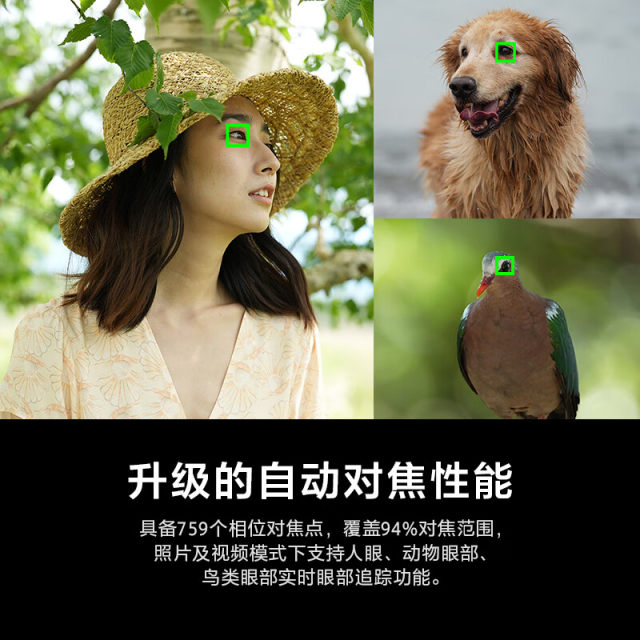 Sony ILCE-7M4 full-frame mirrorless digital camera 7C II national line