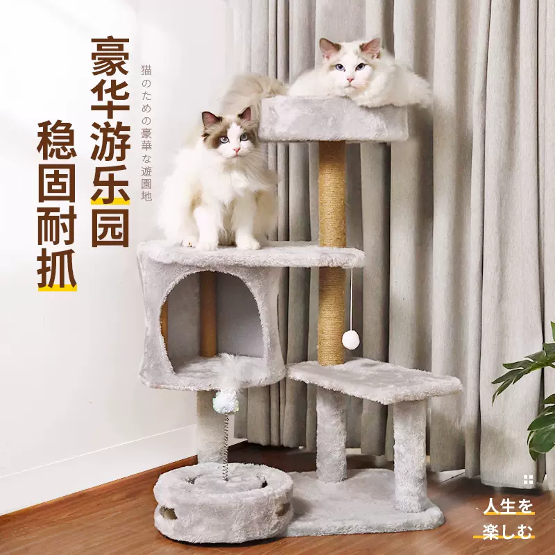 秋猫架子-新人首单立减十元-2021年11月淘宝海外