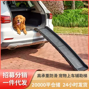 狗梯上车 新人首单立减十元 22年3月 淘宝海外