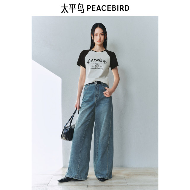 Peacebird Ragsleeves Short Hot T-shirt 25 Summer New Contrast Color Bead Embroidered Elaborate Pattern Top for Women

