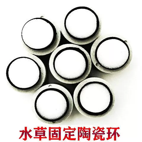 草缸水草固定器 新人首单立减十元 21年11月 淘宝海外