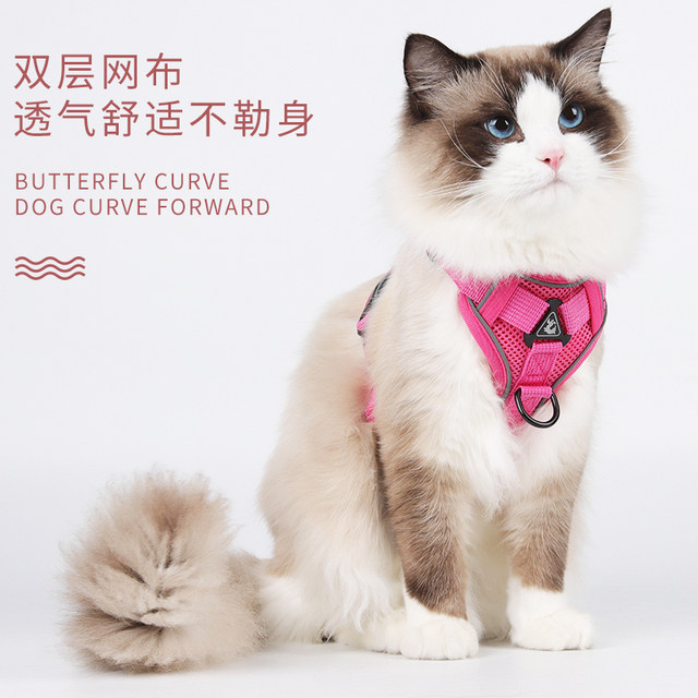 Cat traction rope to prevent break-away Ragdoll cat harness blue cat ...
