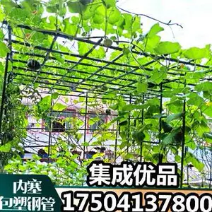 植物搭棚架 新人首单立减十元 22年4月 淘宝海外