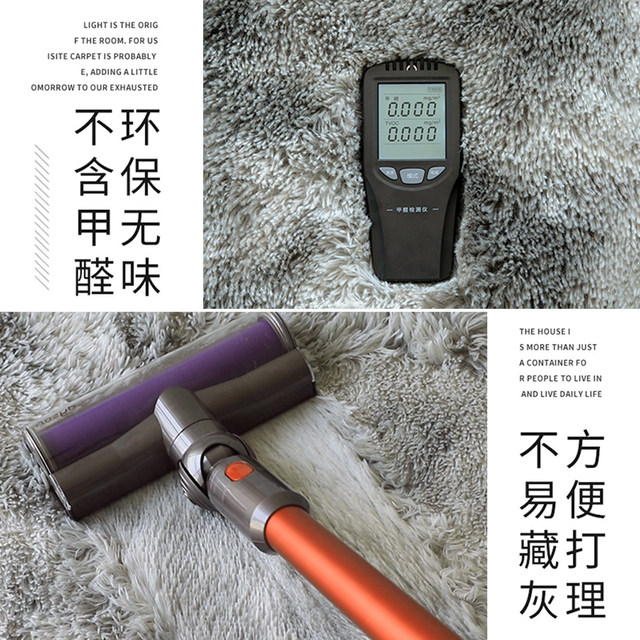 Carpet bedroom living room 2025 new bedside blanket high -level sensation can be cleaned to wipe blanket cushion room coffee table thick
